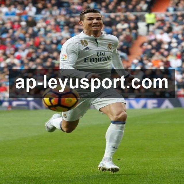 持续更新认证展示